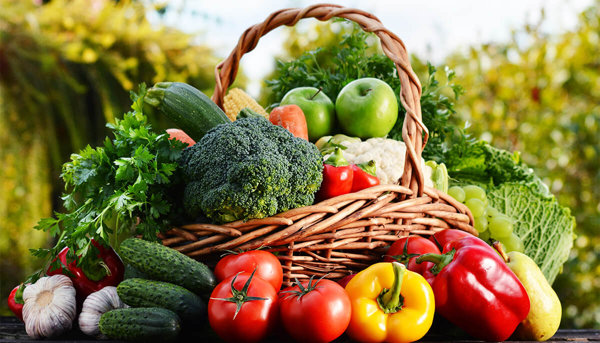 Best Physiotherapy Diet Consultation Clinics Services in Madurai, Best Physiotherapy Diet Consultation Center in Madurai